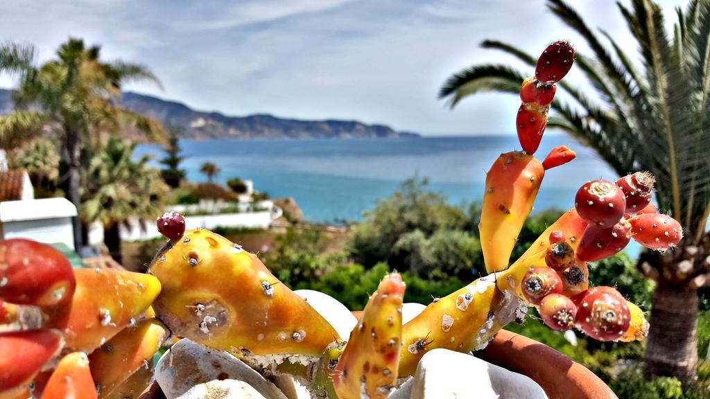 Villa Carabeo Nerja Eksteriør bilde